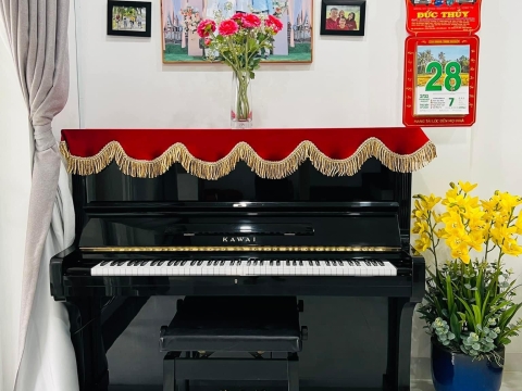 Bộ Sưu Tập Nhà Khách 