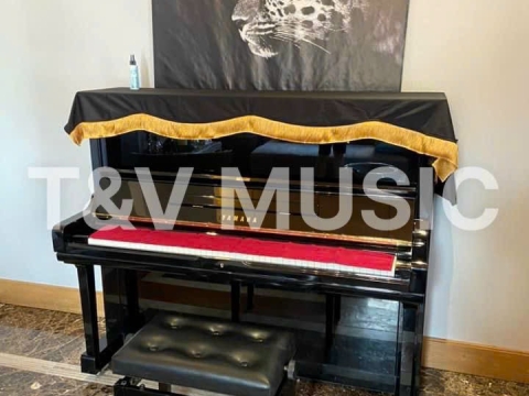 Bộ Sưu Tập Đàn Piano Upgright