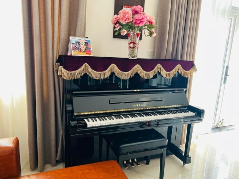 Bộ Sưu Tập Nhà Khách 