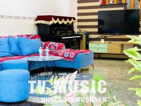 Bộ Sưu Tập Đàn Piano Upgright