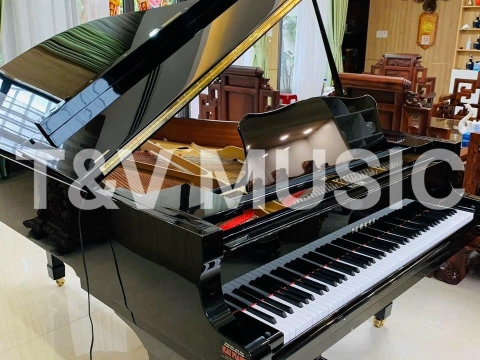 Bộ Sưu Tập Grand-T&V MUSIC 