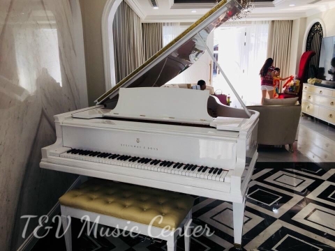 Màu Trắng Tinh Khôi