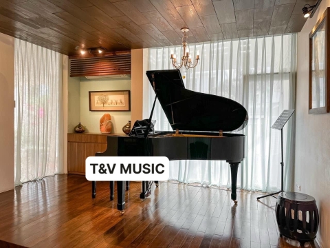 Bộ Sưu Tập Đàn Piano Upgright