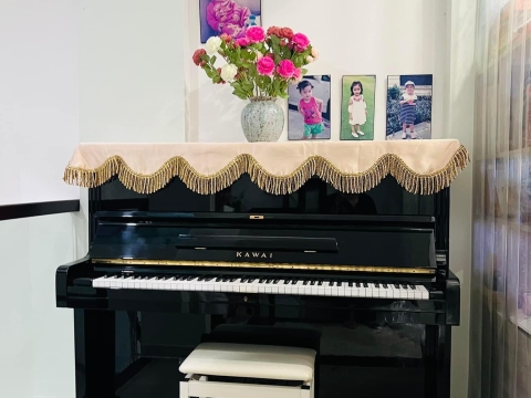 Bộ Sưu Tập Nhà Khách 