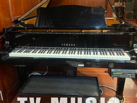 Bộ Sưu Tập Đàn Piano Upgright