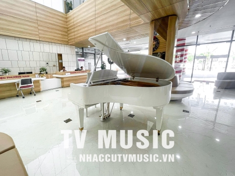 Bộ Sưu Tập Đàn Piano Upgright