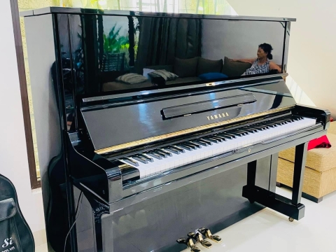 Bộ Sưu Tập Nhà Khách 