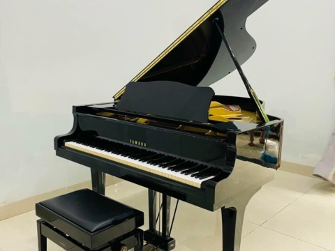 Bộ Sưu Tập Nhà Khách 