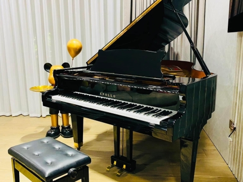 Bộ Sưu Tập Nhà Khách 