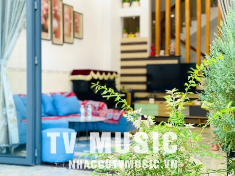 Bộ Sưu Tập Đàn Piano Upgright