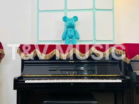 Bộ Sưu Tập Đàn Piano Upgright