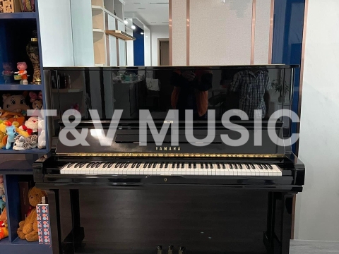 Bộ Sưu Tập Đàn Piano Upgright