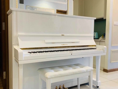 Màu Trắng Tinh Khôi