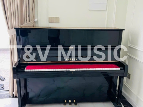Bộ Sưu Tập Đàn Piano Upgright