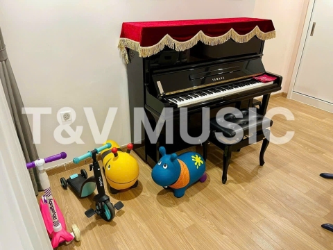 Bộ Sưu Tập Đàn Piano Upgright