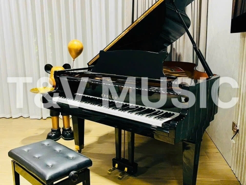 Bộ Sưu Tập Grand-T&V MUSIC 