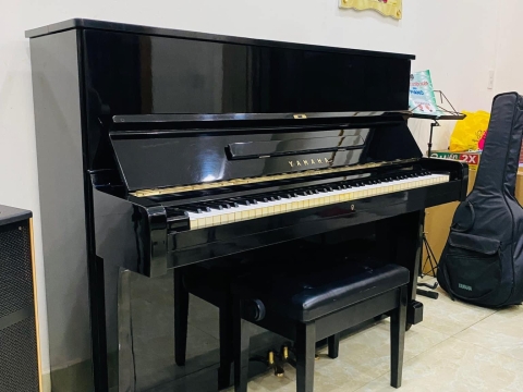 Bộ Sưu Tập Nhà Khách 