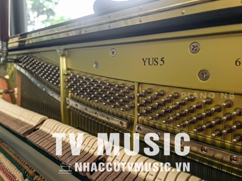 Bộ Sưu Tập Đàn Piano Upgright