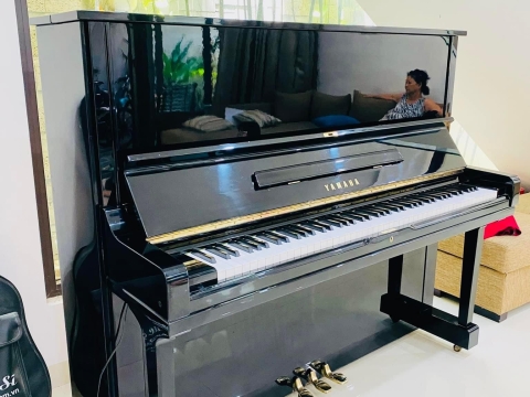 Bộ Sưu Tập Nhà Khách 