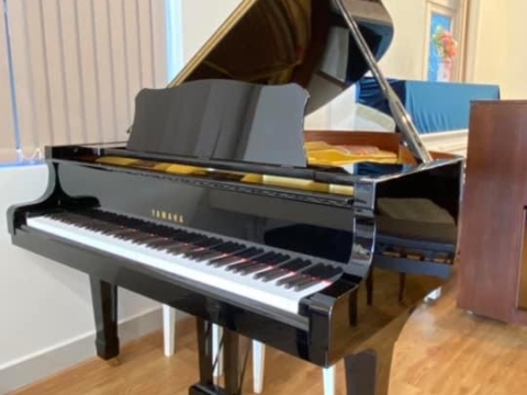 Hình Ảnh Chuẩn Bị Showroom