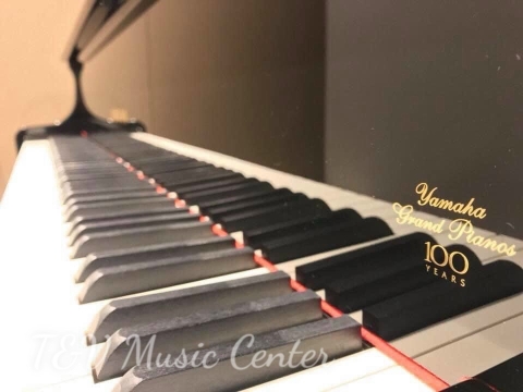 Grand Yamaha 100 Years