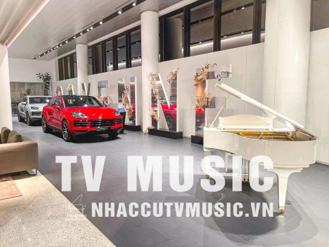 Bộ Sưu Tập Đàn Piano Upgright