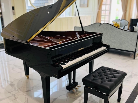 Bộ Sưu Tập Nhà Khách 