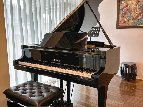 Bộ Sưu Tập Đàn Piano Upgright