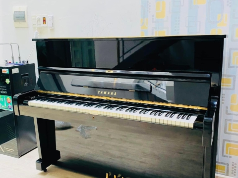 Bộ Sưu Tập Nhà Khách 