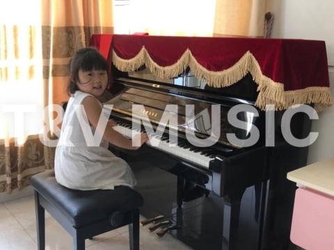 Bộ Sưu Tập Đàn Piano Upgright