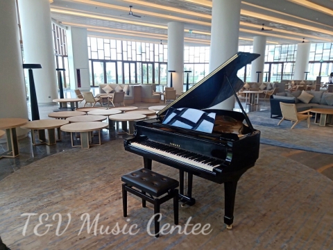 Grand Piano Tại Nhà Hàng