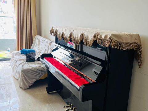 Bộ Sưu Tập Nhà Khách 