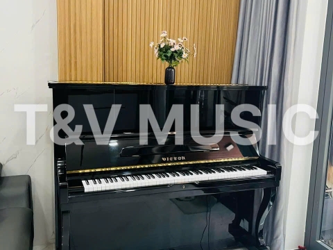 Bộ Sưu Tập Đàn Piano Upgright