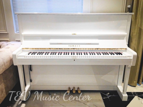 Màu Trắng Tinh Khôi