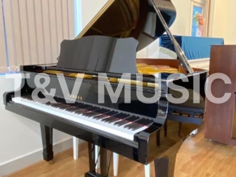 Bộ Sưu Tập Đàn Piano Upgright