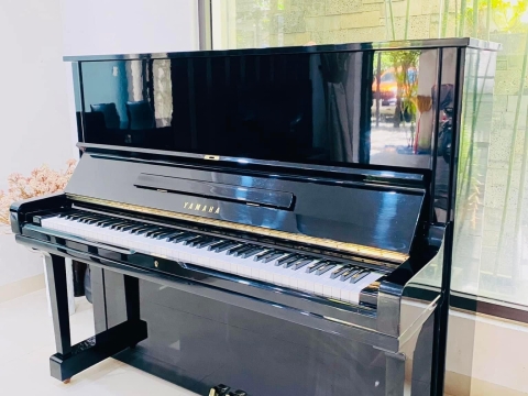 Bộ Sưu Tập Nhà Khách 