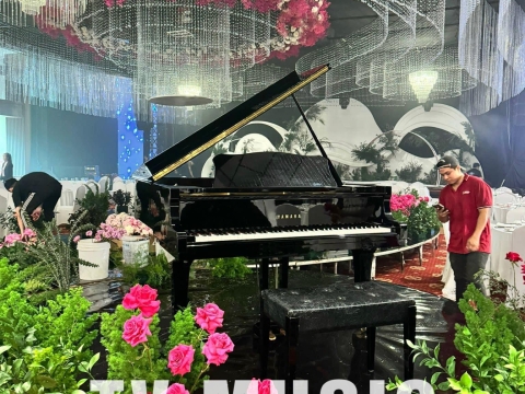 Bộ Sưu Tập Đàn Piano Upgright