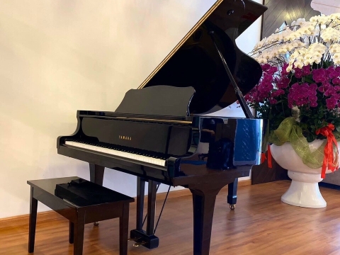 Hình Ảnh Bàn Giao Đàn