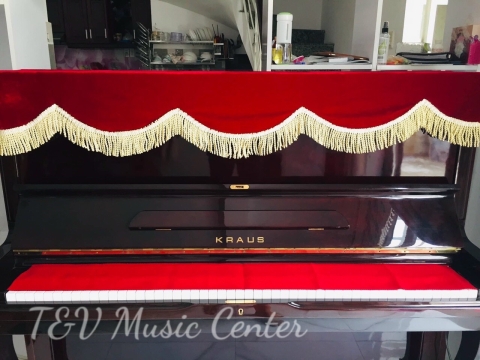 Hình Ảnh Bàn Giao Đàn