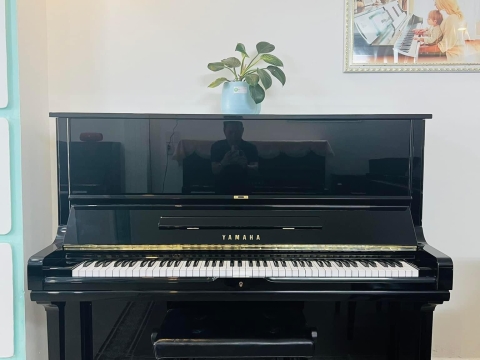 Bộ Sưu Tập Nhà Khách 