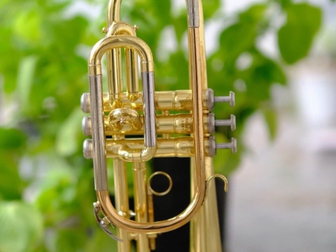 Trumpet(2)