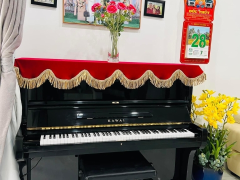 Bộ Sưu Tập Nhà Khách 