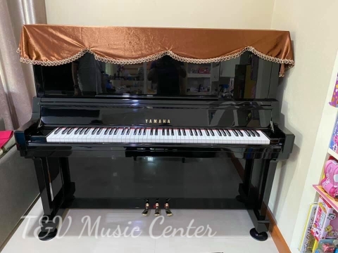 Hình Ảnh Bàn Giao Đàn