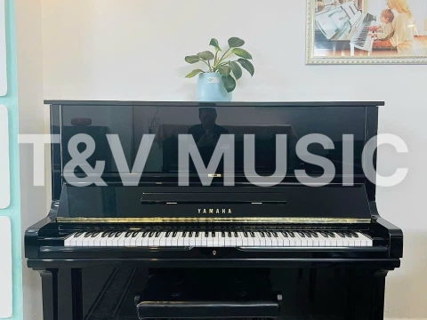 Bộ Sưu Tập Đàn Piano Upgright