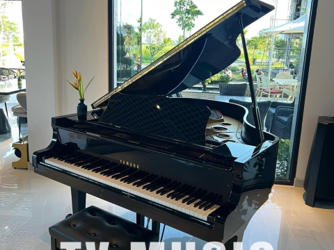 Bộ Sưu Tập Đàn Piano Upgright
