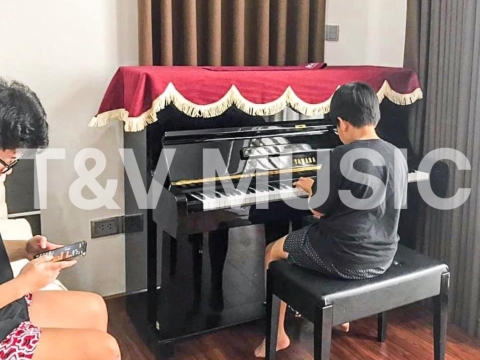 Bộ Sưu Tập Đàn Piano Upgright