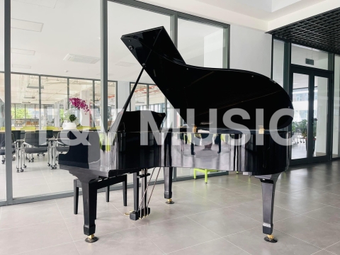 Bộ Sưu Tập Grand-T&V MUSIC 