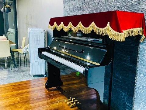 Bộ Sưu Tập Nhà Khách 