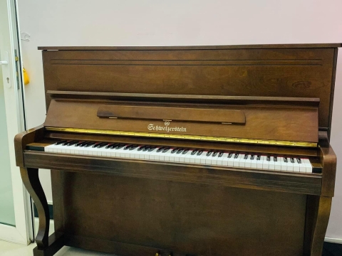 Bộ Sưu Tập Nhà Khách 