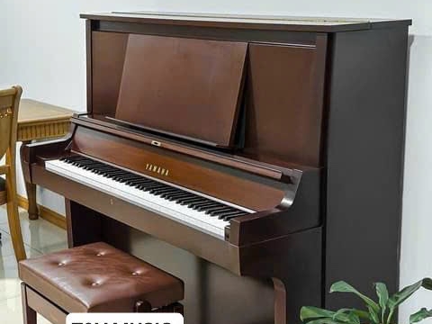 Bộ Sưu Tập Đàn Piano Upgright